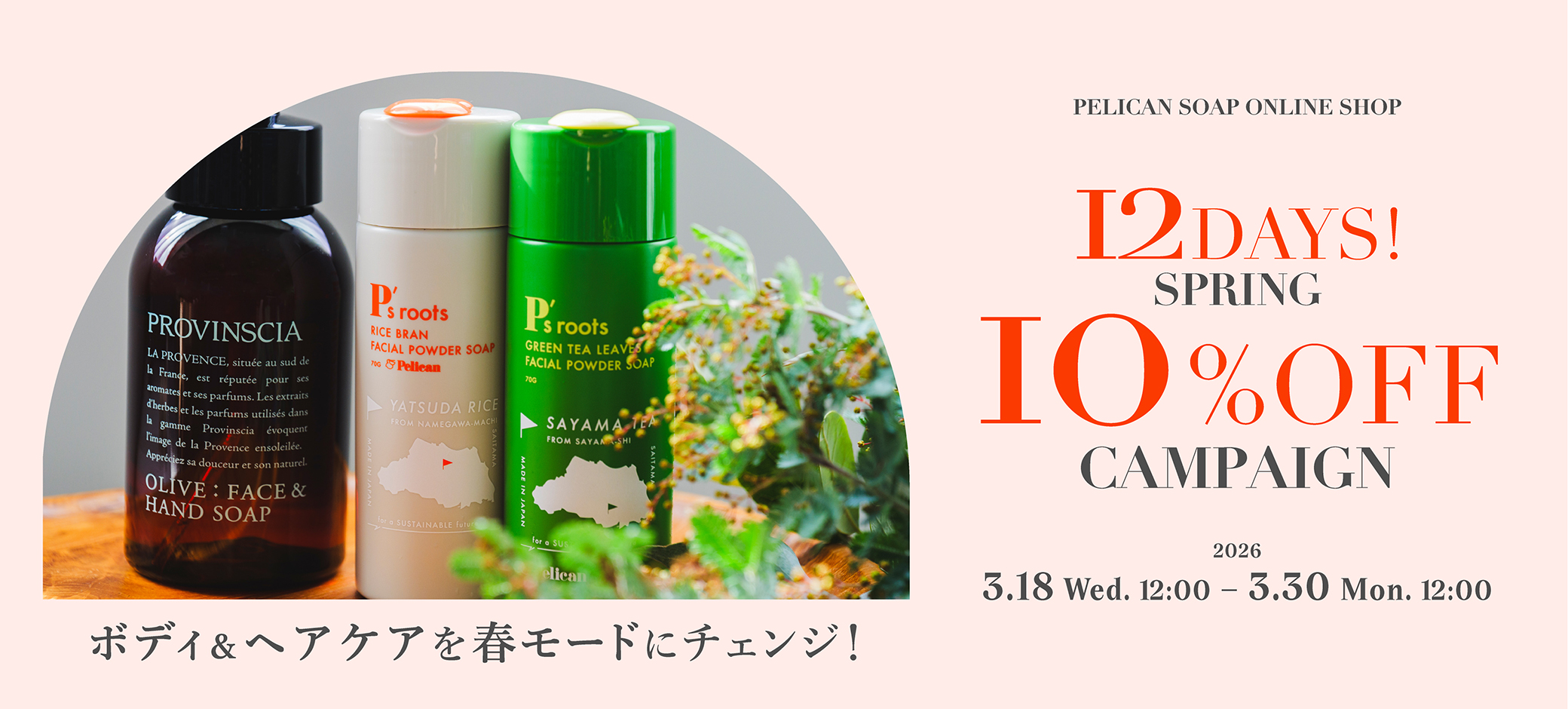 春の10%OFFキャンペーンバナー