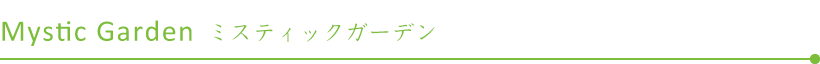 Mystic Garden　ミスティックガーデン